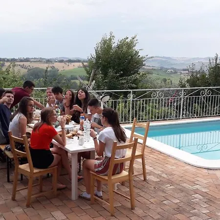 Barbagianni Senigallia
