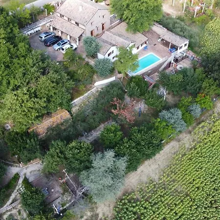 Barbagianni Feriegård Senigallia