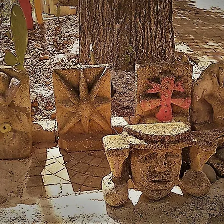 Barbagianni * Senigallia