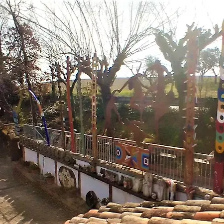 Barbagianni *