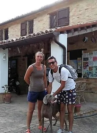 Barbagianni