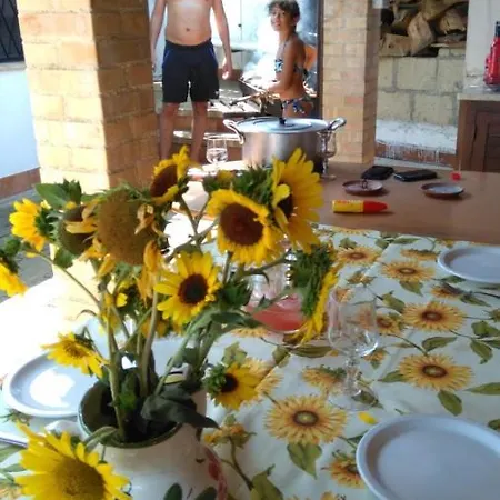 Barbagianni Senigallia