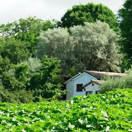 Feriegård Barbagianni Senigallia