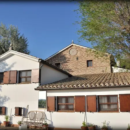 Barbagianni * Senigallia