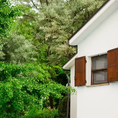 Feriegård Barbagianni Senigallia