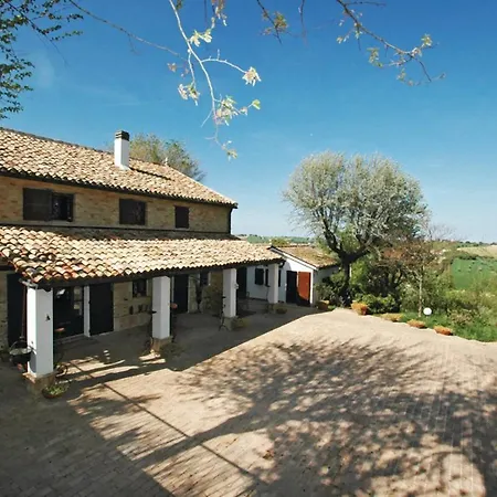 Barbagianni *
